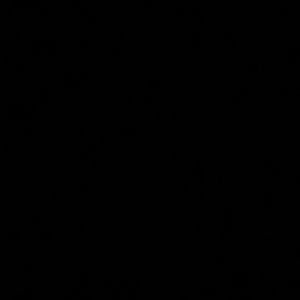 Meet your Posher, Aleeza